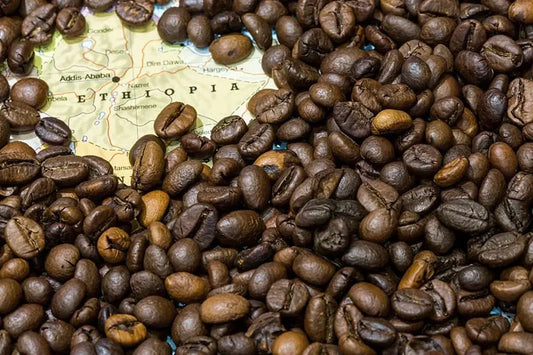 Grains de café éthiopiens disposés sur une carte géographique de l’Éthiopie, symbolisant l’origine prestigieuse du café.