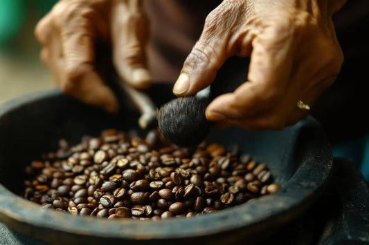 Café-de-spécialité-Guide-complet-pour-comprendre-et-choisir Ti Cafew