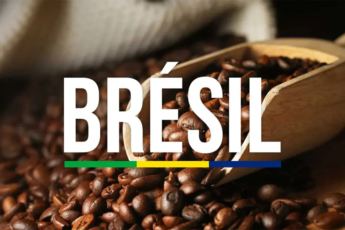 Café-Brésil-Santos-Pourquoi-il-est-le-meilleur-choix-pour-les-amateurs-de-café-doux