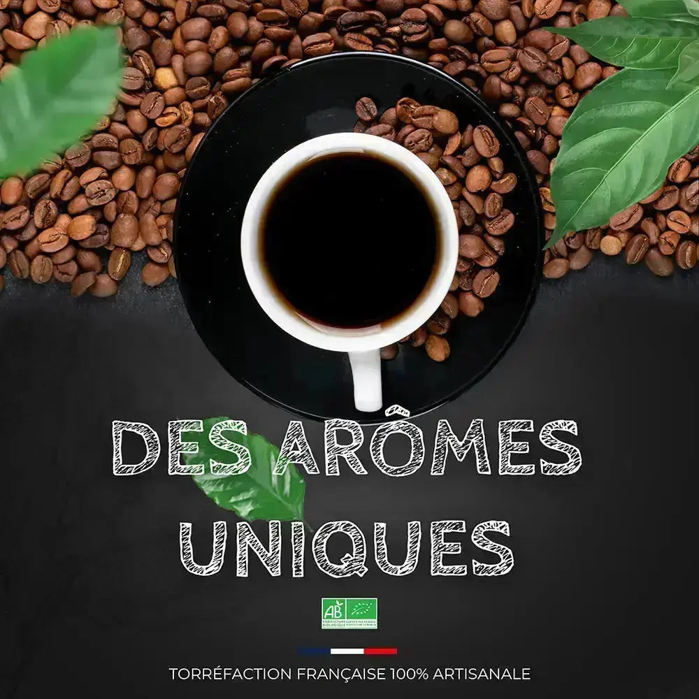 Moka Ethiopie Sidamo BIO - Café 100% Arabica - Torréfaction Médium