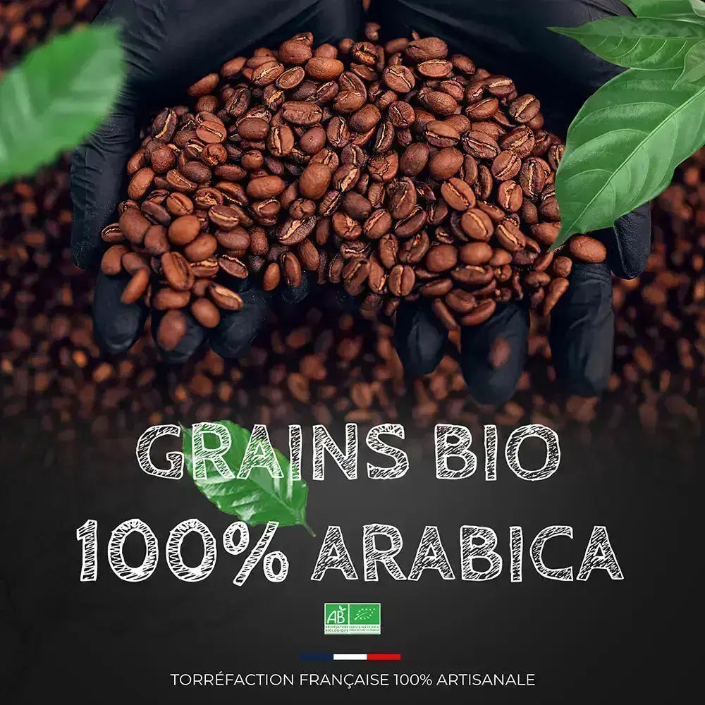 Moka Ethiopie Sidamo BIO - Café 100% Arabica - Torréfaction Médium