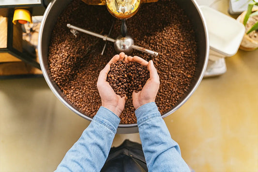 Une personne tenant des grains de café