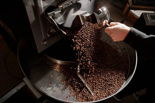 Torréfaction de grains de café avec une machine professionnelle, où les grains fraîchement torréfiés sont libérés dans un récipient pour refroidissement