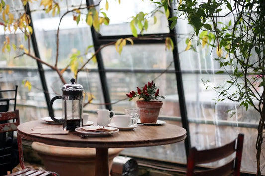 Améliorez Votre Connaissance sur le Cycle du Café Arabica  Ti Cafew