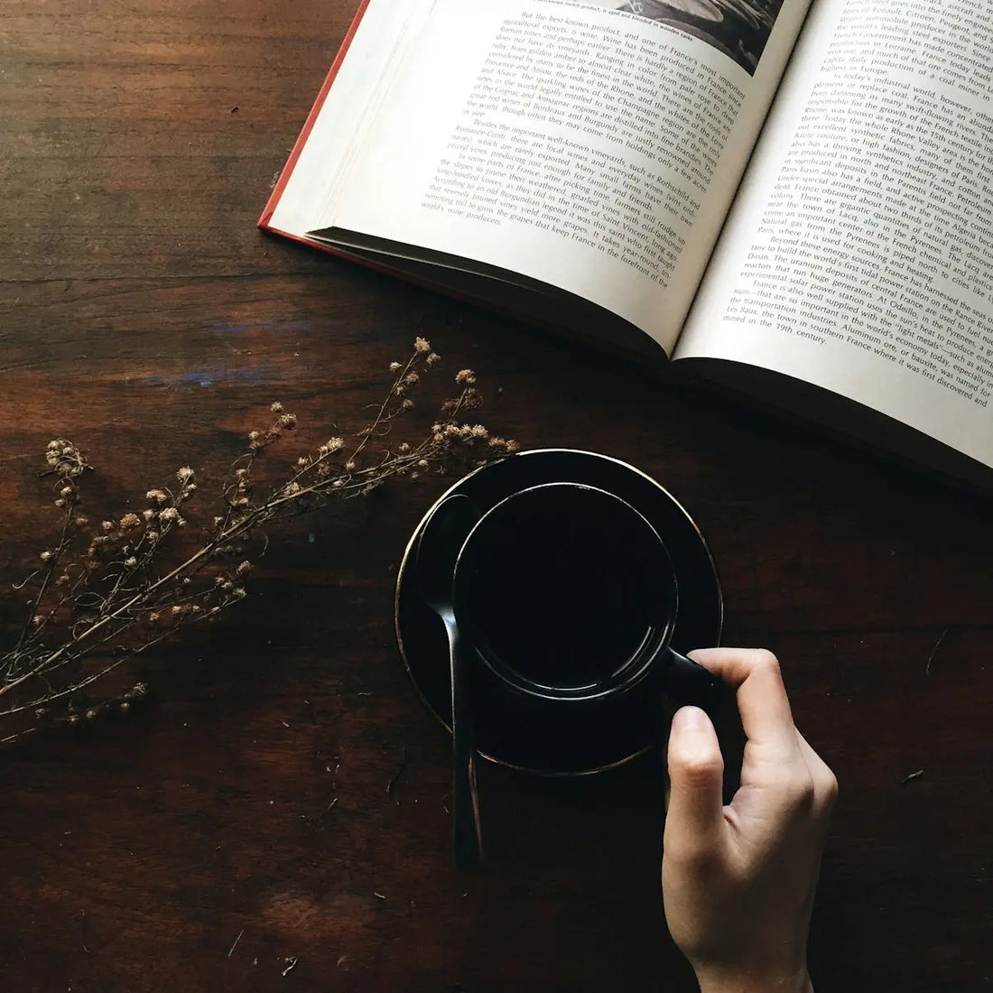 Le Café de Spécialités: Une Exploration Sensorielle Incomparée  Ti Cafew