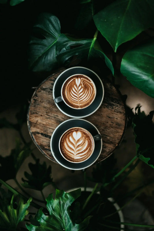 Pourquoi opter pour du café en grain pour un nouvel éclat gustatif  Ti Cafew