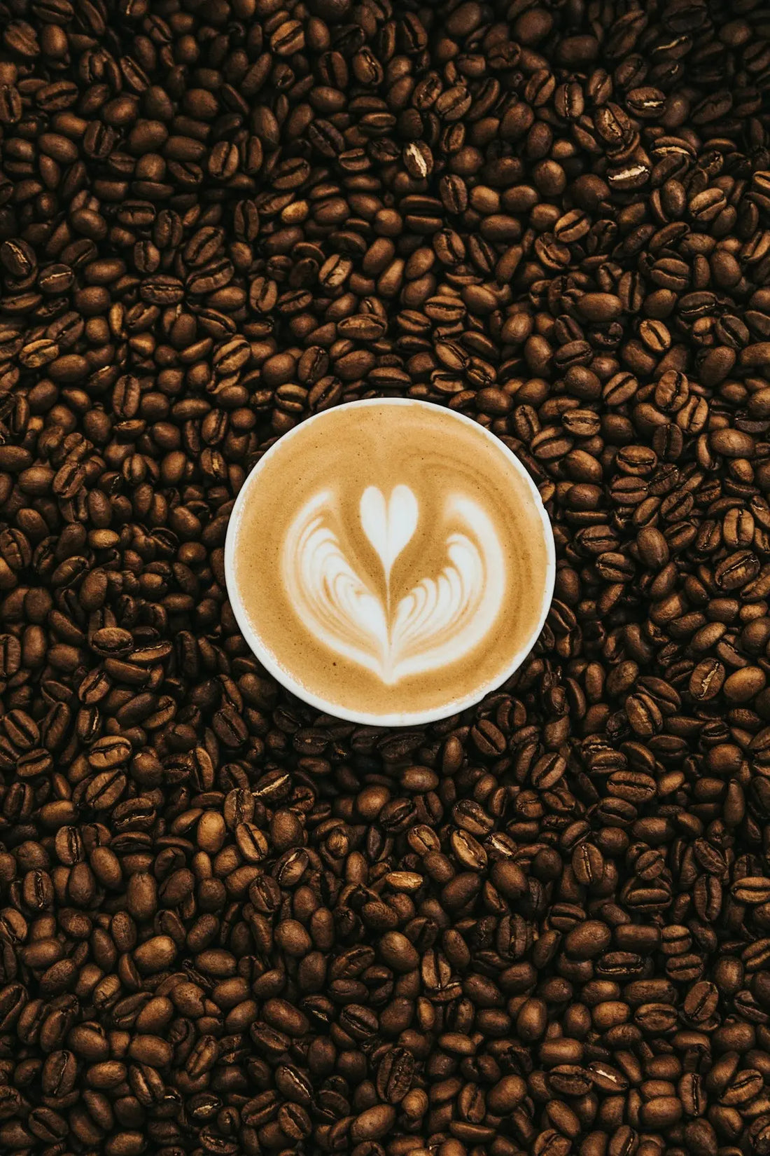 Résoudre les Mystères du Café de Spécialités: Ce qu'il Faut Savoir pour Se Lancer  Ti Cafew