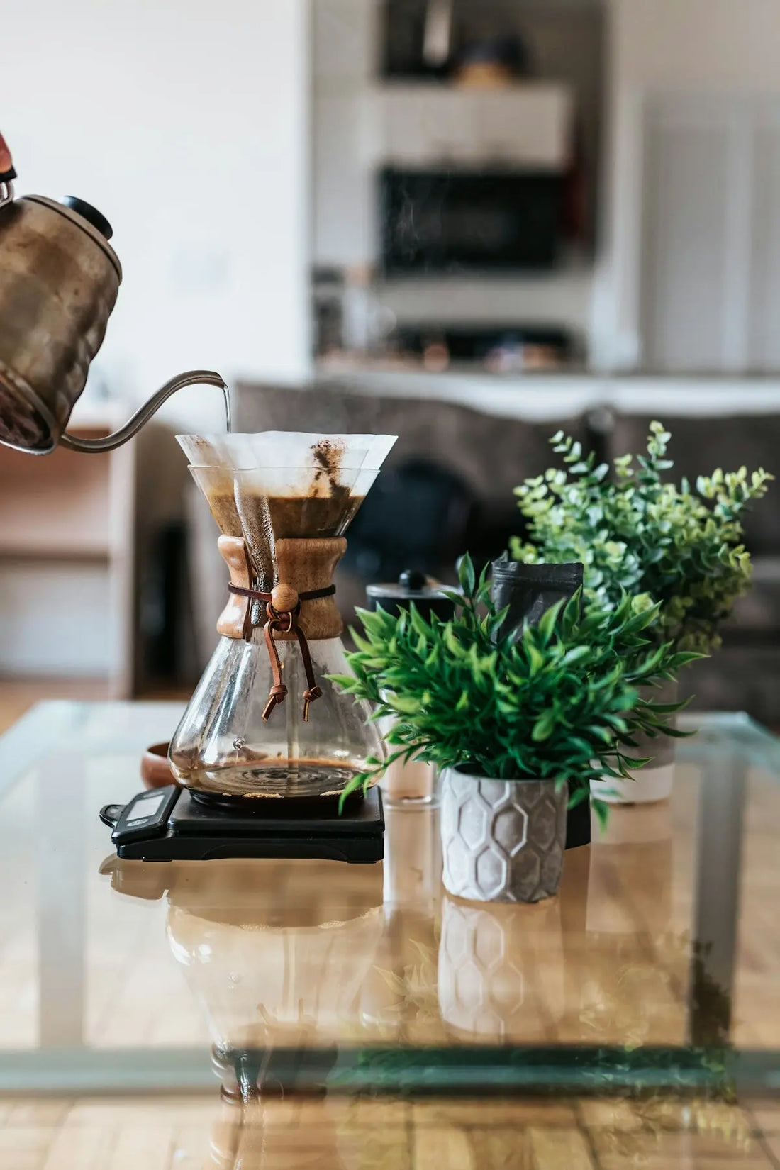 Choisir le Café Bio: Un Geste pour la Planète et le Palais  Ti Cafew