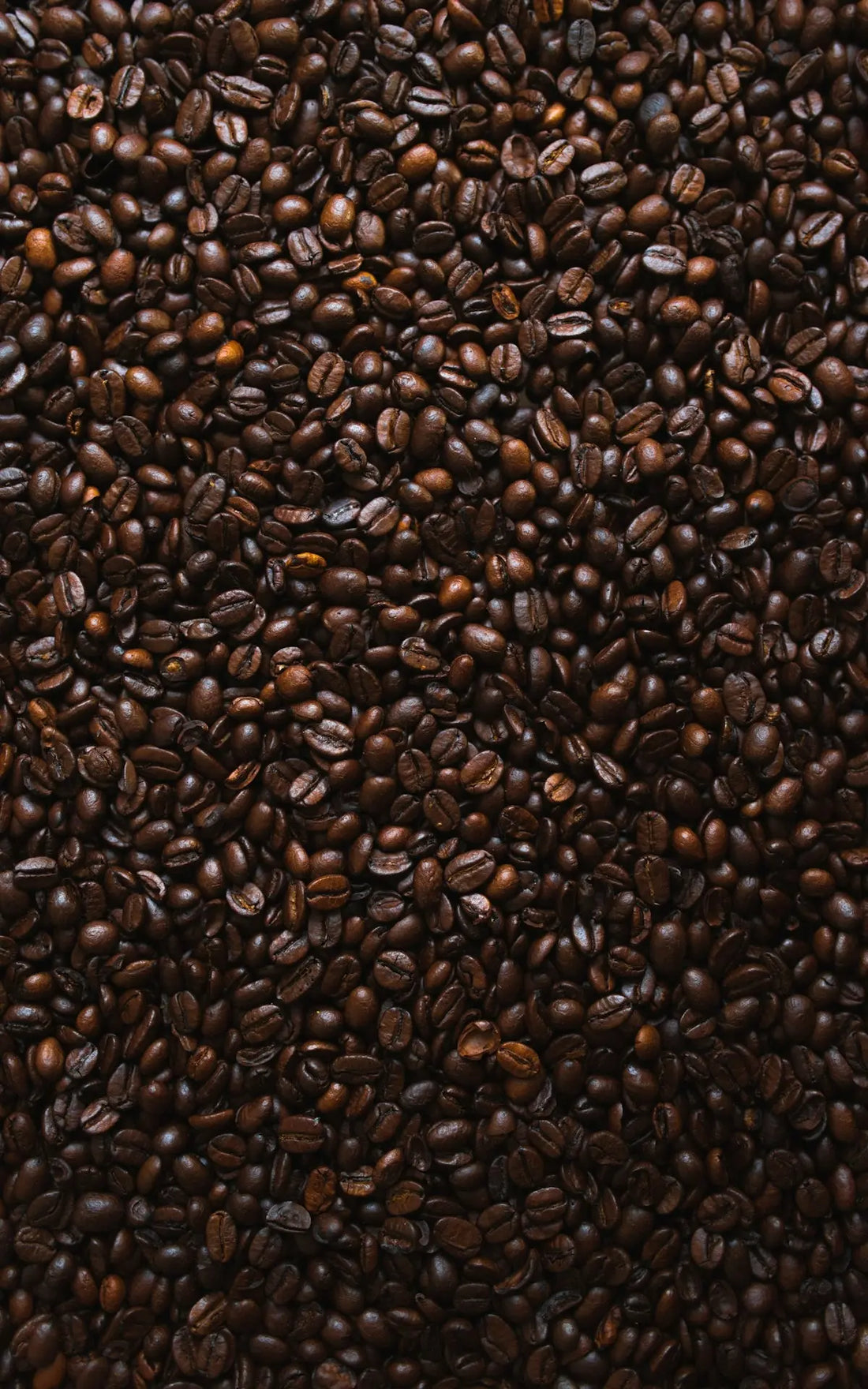 Investissez dans Votre Passion pour le Meilleur Café du Monde: Une Approche Raisonnée  Ti Cafew