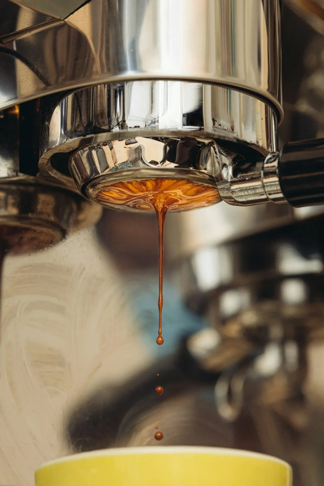 Conseils Essentiels pour Trouver du Café de Spécialités en Ligne  Ti Cafew