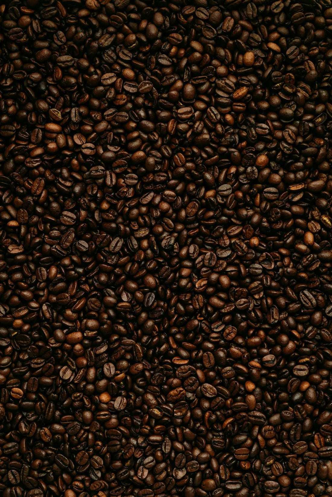 Les Meilleures Marques de Café en Grain à Découvrir pour un Goût Unique  Ti Cafew