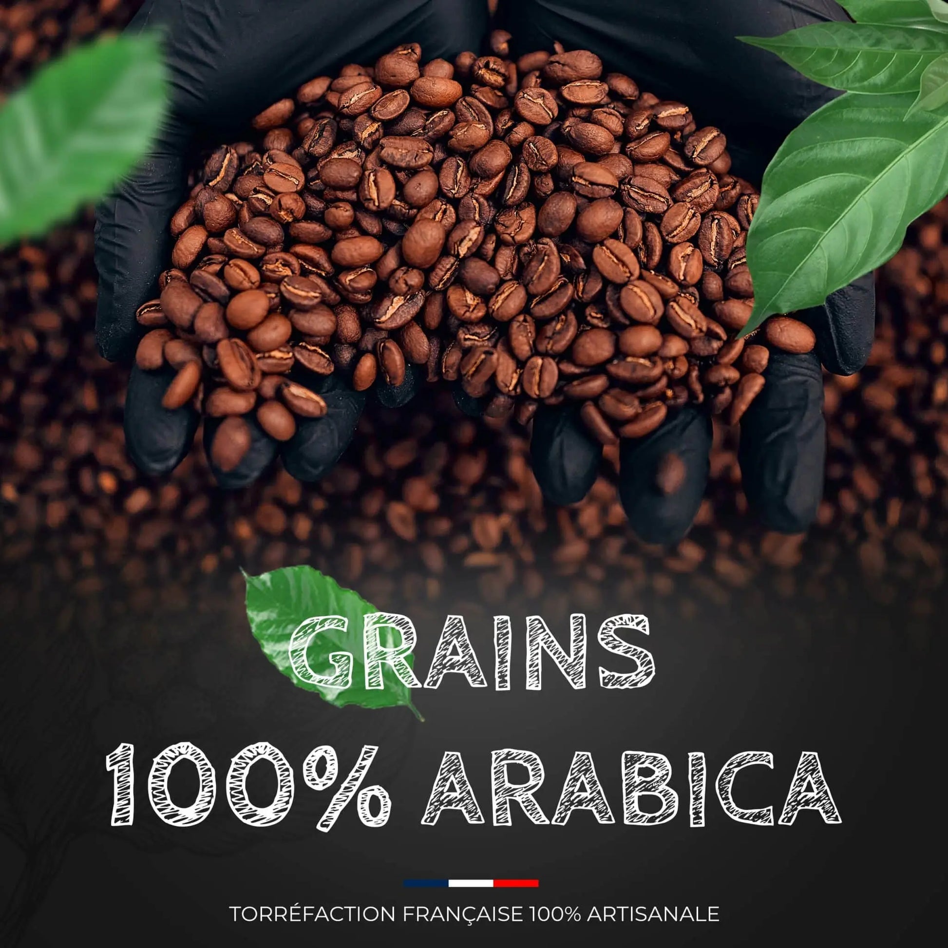 Brésil Santos - Café 100% Arabica - Torréfaction Médium 