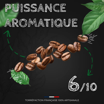 Café Kenya AA - 100% Arabica - Torréfaction Médium  Ti Cafew