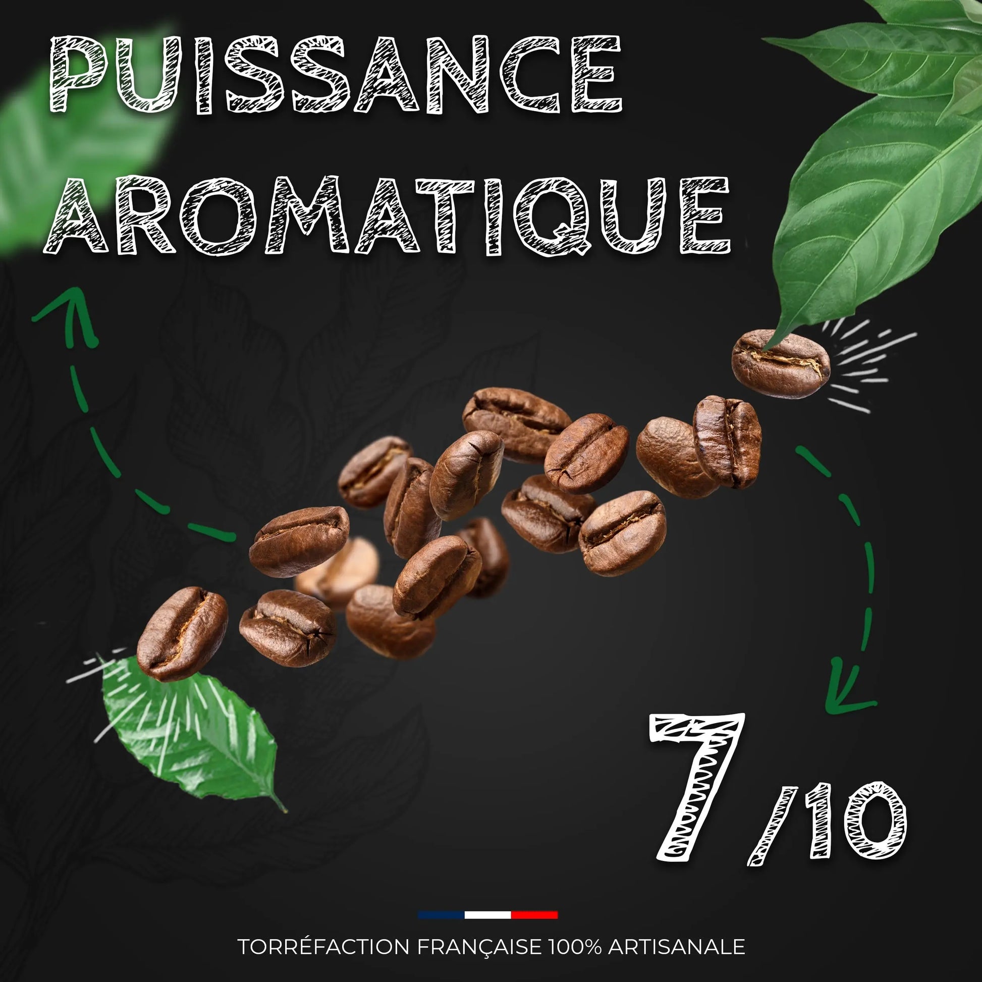 Café Tanzanie AA Bourbon - 100% Arabica - Torréfaction Médium  Ti Cafew
