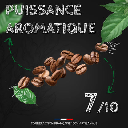 Café Tanzanie AA Bourbon - 100% Arabica - Torréfaction Médium  Ti Cafew